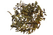 Japanese Sencha Green Tea