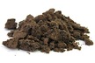 Chopped Grasshopper Chocolate Mint Cookies