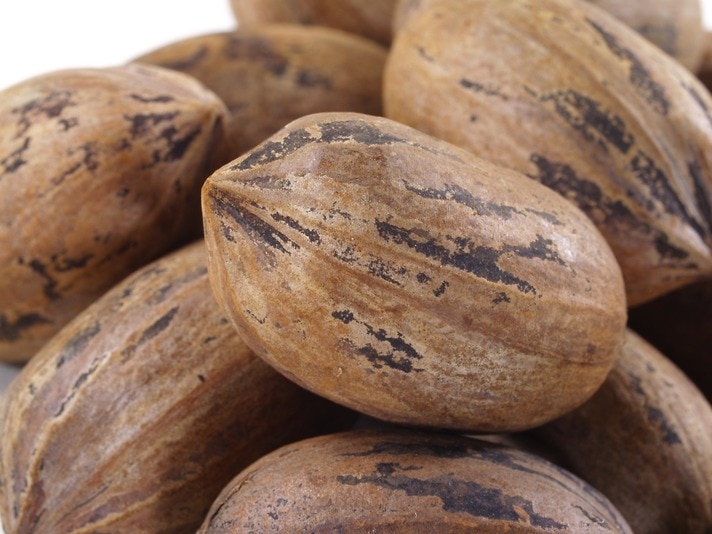 Types of Papershell Pecans