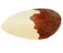 brazil nut
