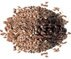 flaxseed