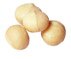 macadamia nuts