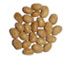 soy beans