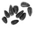 sunflower seeds