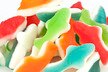 Gummy Hammerhead Sharks