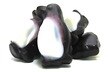 Black & White Gummy Peachy Penguins