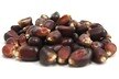 Red Popcorn Kernels
