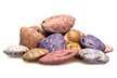 Chocolate Candy Sea Shells