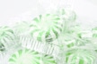 Spearmint Starlights