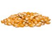 Popcorn Kernels
