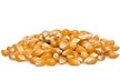 Mushroom Popcorn Kernels