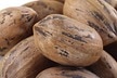 Hard Shell Pecans