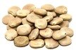 Lupini Beans