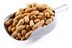 Wholesale Jumbo Roasted Peanuts (In Shell)