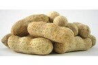Wholesale Organic Roasted Peanuts (Salted, In Shell)