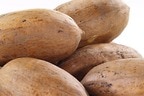 Wholesale Paper Shell Pecans