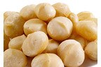Wholesale Raw Macadamia Nuts
