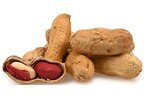 Wholesale Organic Raw Peanuts (In Shell)
