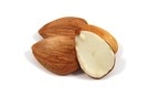 Wholesale Organic Wild Apricot Kernels (Sweet)