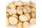 Wholesale Organic Macadamia Nuts (Raw)