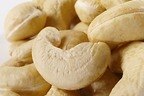 Wholesale Organic Cashews (Raw)