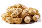 Wholesale Jumbo Raw Peanuts (In Shell)