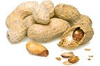Wholesale Cajun Roasted Peanuts (Salted, in Shell)